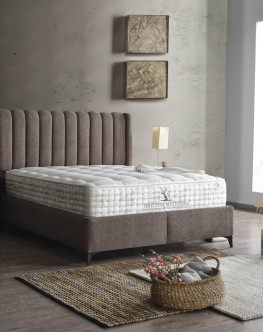 POSTEL CAMEL