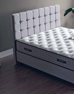 Postel Olivia